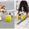Interactive Balance Car Treat Dispenser Toy for Cats & Dogs, Rolling Puzzle Slow Feeder Enrichment Game to Relieve Boredom