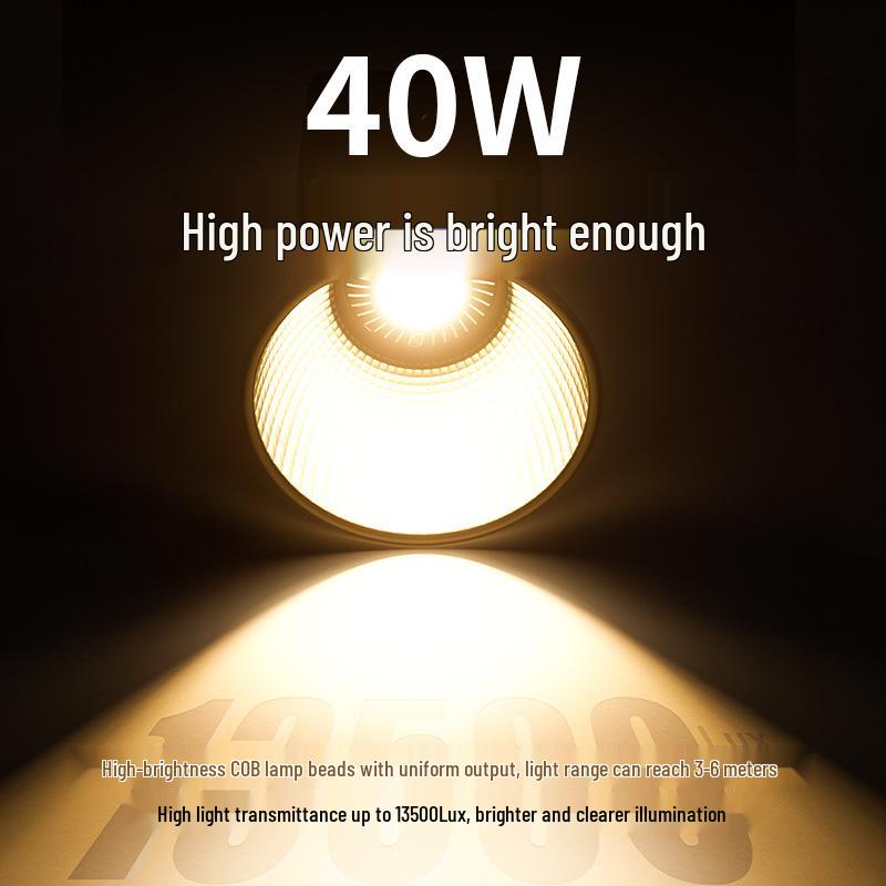 8W New Handheld COB 40W Outdoor Shooting Light for Portraits & Live Room
