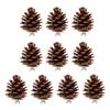 10pcs Bird Bite Pine Cones Natural Pine Cone Chewing Bird Toy for Parakeet Cockatiel Conure Finch Budgie Macaw