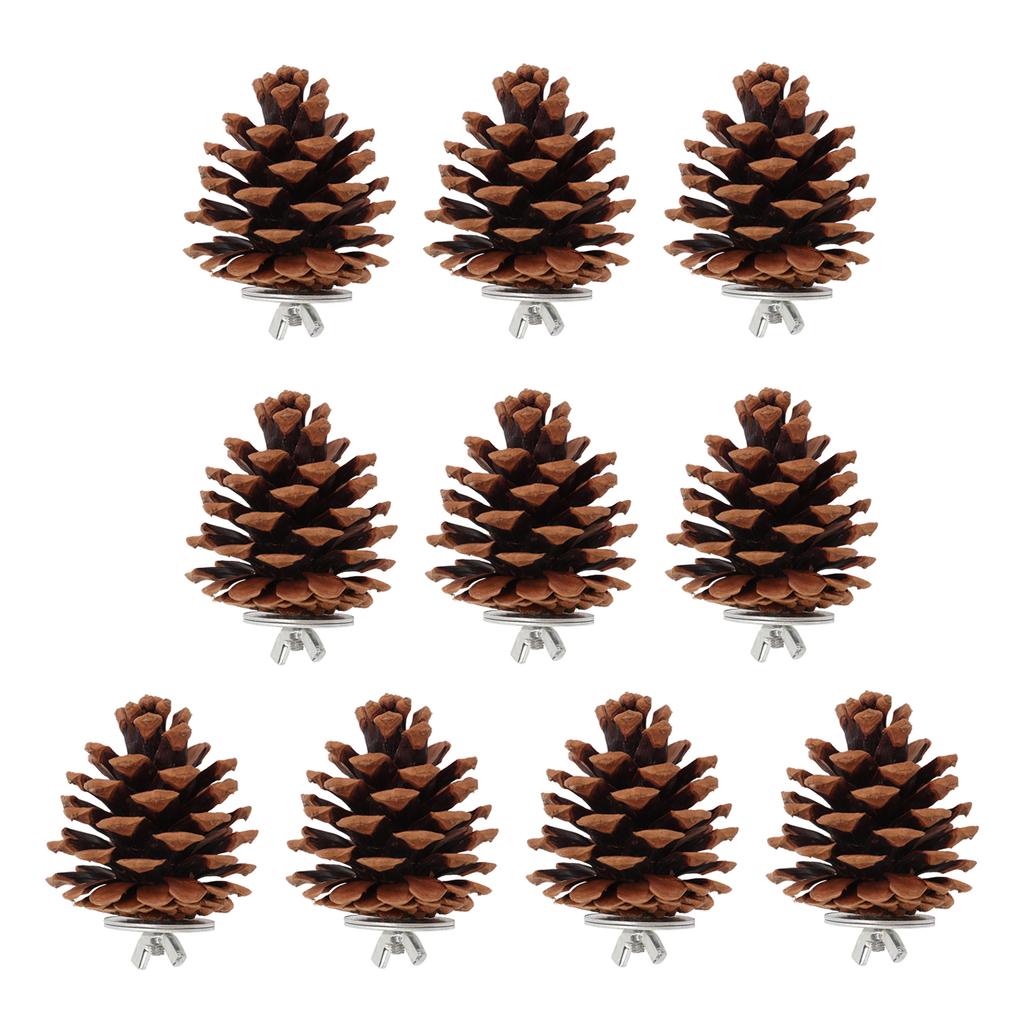 10pcs Bird Bite Pine Cones Natural Pine Cone Chewing Bird Toy for Parakeet Cockatiel Conure Finch Budgie Macaw