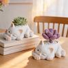 Novelty Winking Cat Resin Plant Pot Kitten Succulent Flower Container for Balcony Patio Desk Indoor Garden Cute Tabletop Decor