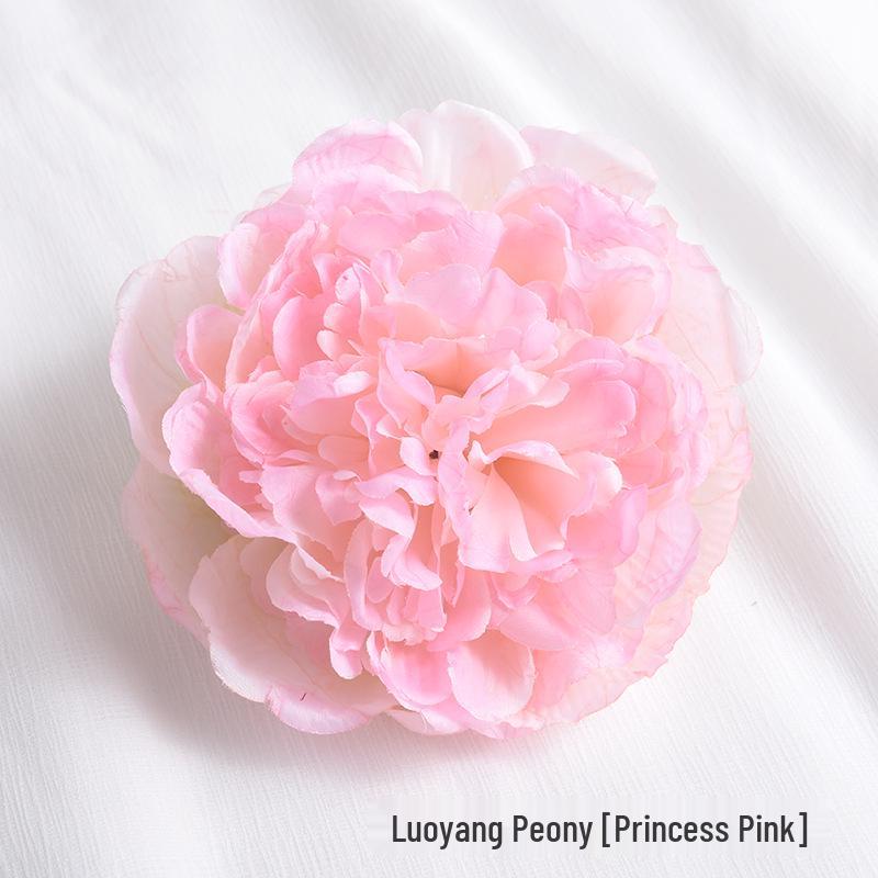 Modern Simple Flower Curtain Tiebacks – Window Decoration Accessories