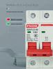 Dual-Pole Residual Current Circuit Breaker with Leakage Protection - 220V Electric Safety Switch