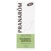 Pranarom Huile Essentielle Bio Eucalyptus Globuleux 10ml