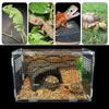 Reptile – Terarii pentru reptile