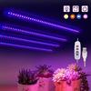 LED Full Spectrum Phyto Lamp USB 5V Grow Light Bar 30cm/50cm 1T 2T 3T 4T Plants Flowers Led Greenhouse Cultivo Hydroponic