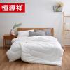 Hengyuanxiang All-Season Plant Heated Antibacterial Fiber Quilt