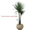 Bonsai Soil Moisture Meter Planter Water Remind Warning Alert Content Garden