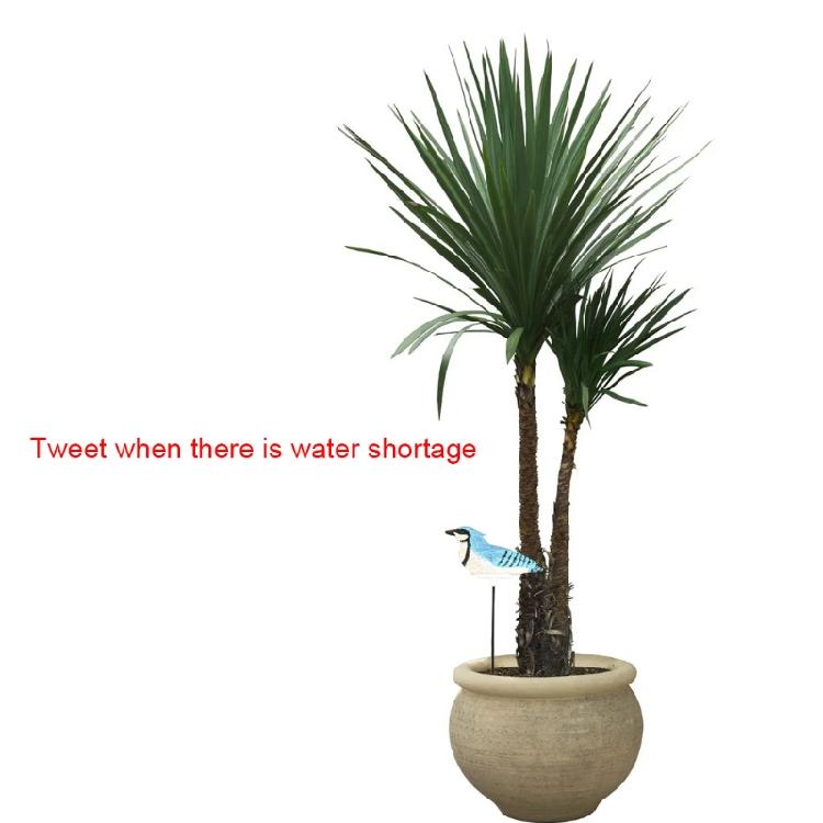 Bonsai Soil Moisture Meter Planter Water Remind Warning Alert Content Garden