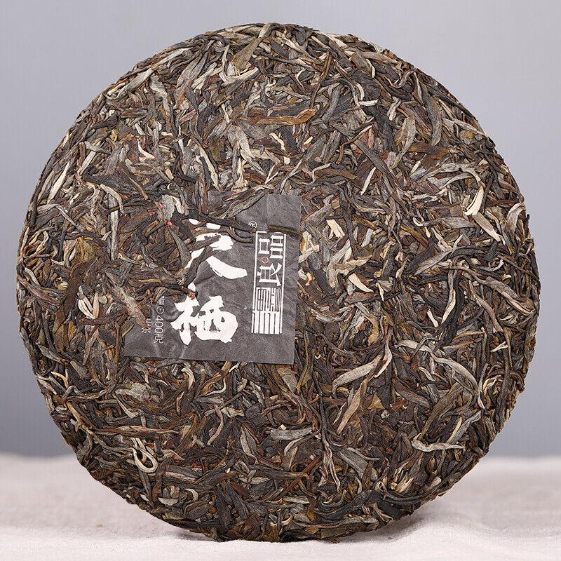 Haiwan The Gathering of Plant Spirit Raw Puer Excellent Shen Puerh Tea 400g