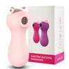 Clit Sucker Vagina Sucking Vibrator Female Clitoris Vacuum Stimulator Nipple Sex Toys For Adults 18 Women Masturbator Product