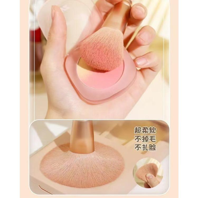 5pcs Makeup Brushes with Mirror Eyeshadow Loose Powder Brushes Mini Multifunctional Makeup Brushes