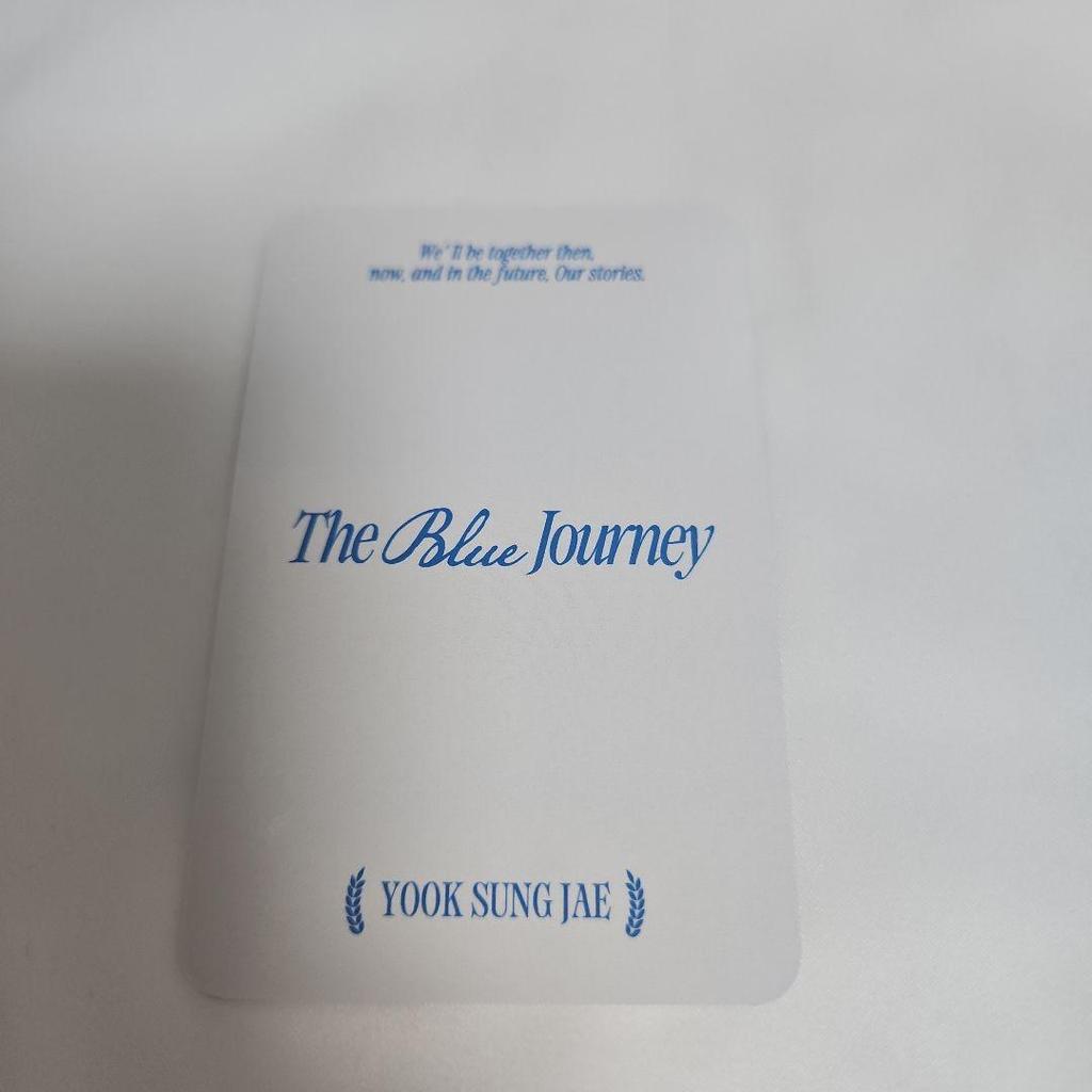 [USED] BTOB Yook Sungjae Pop-up Admission Bonus Korean Trading Card