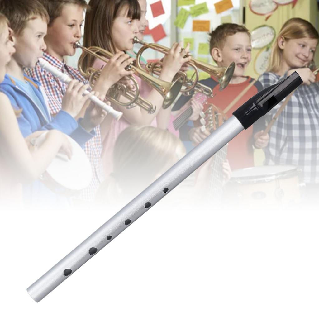 Musical Short Flute Portable Alloy Professional   Short Flute with Lrning Manual for Students