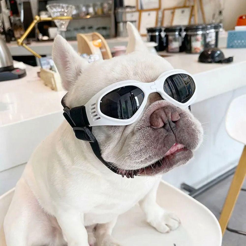 Adjustable Pet Sunglasses Foldable Dogs Goggles Comfortable To Wear Dog Eyewear  Photography Prop