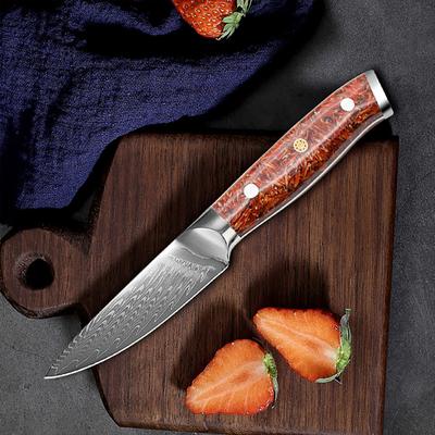 67 schichten Damaskus Stahl Schälmesser Obst Gemüse Messer Scharfe Hackmesser Angeln Messer Küche Kochen Werkzeuge