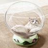 Space Capsule Interactive Cat Turntable Toy