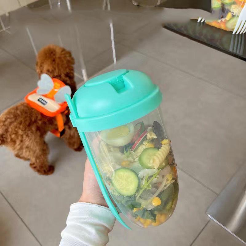 Úložný box na potraviny Snídaňová ovesná kaše Cereálie Ořech Jogurt Salátová miska Uzavíratelná sada nádob s vidličkou Kelímek na omáčku Víko Bento Nádoba na jídlo