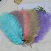 Colored Ostrich Feathers 30-35Cm Stage Performance Wedding Bouquet Decoration Ostrich Feathers