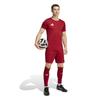 Adidas Entrada 26 Time de Futebol Power Manga Curta Tamanho Pequeno Camisa Masculina, Vermelho/Branco (EA665), Camiseta, (JZ2501)