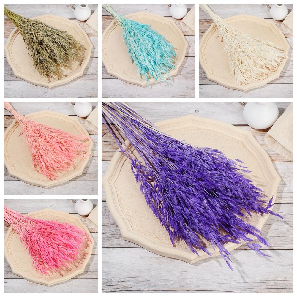Natural Material Plant Stems Dried Flowers Bouquets Real Flower Wheat Ear Grass Natural Material Plant Stems Dried Flowers Bouquets Real Flower Wheat Ear Grass