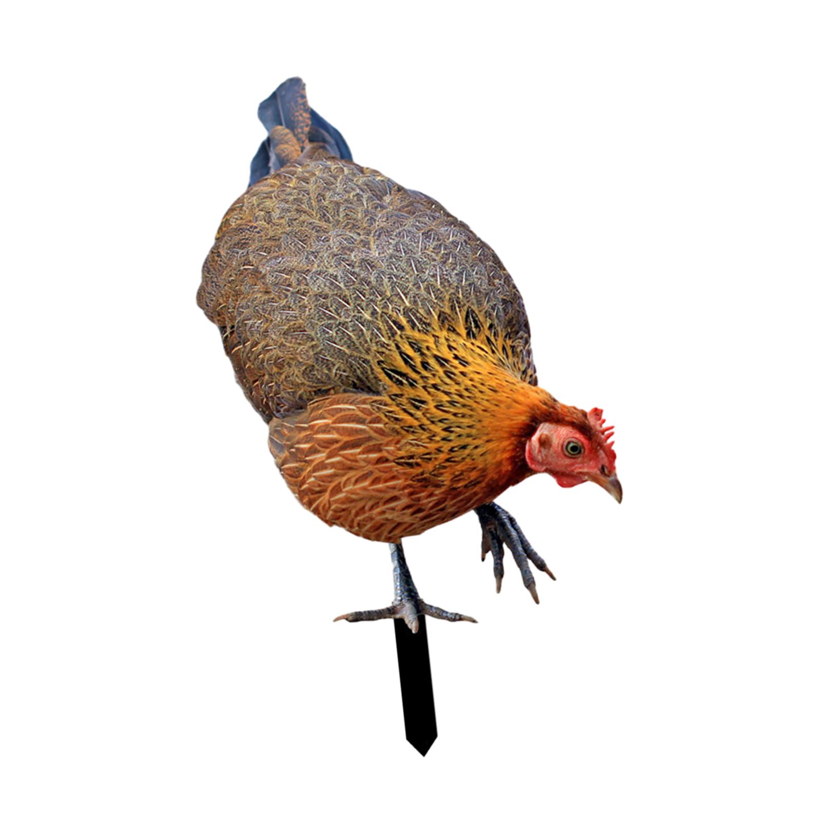 Rooster Yard Stake Hen Realistic Chicken Sculpture for Farm Pathway Patio