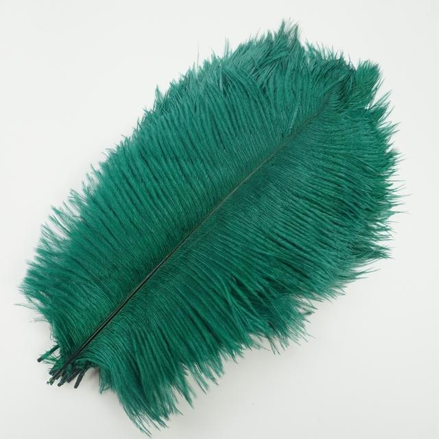 10Pcs/Lot New Colored Ostrich Feathers for Crafts White Black Feather Decor Table Centerpieces Jewelry Handicrafts Decoration