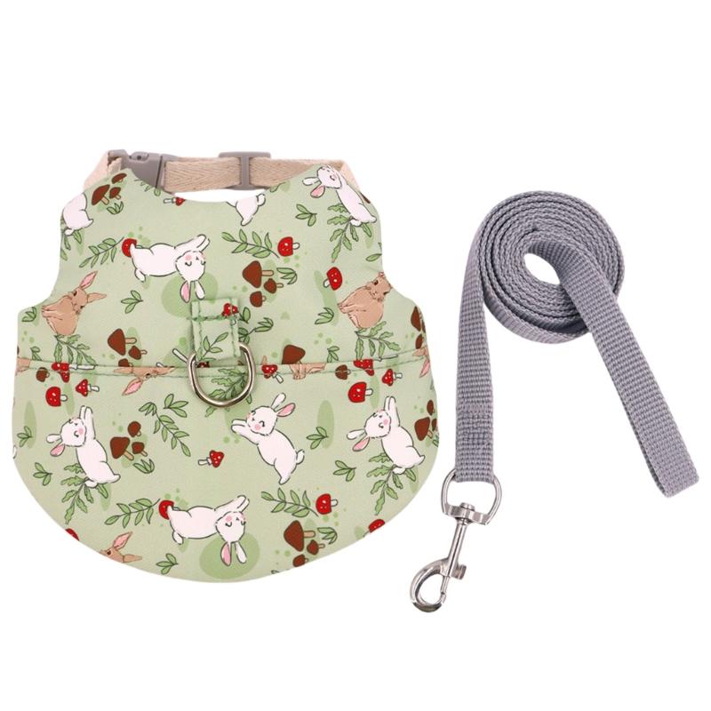 Set Pettorina e Guinzaglio per Animali Piccoli con Trazione Pettorina Regolabile Conigli Pettorina da Esterno per Addestramento Animali Controllo Facile