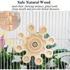 Chinchilla Wooden Rotating Chew Toy Teeth Health Interactive Spinner Hanging Cage Accessory 6.3In Squirrel Hamster Molar Toy Fun