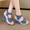 Women's Platform Wedge Peep-Toe Sandals with Round Toe High Heel for Outdoor Wear