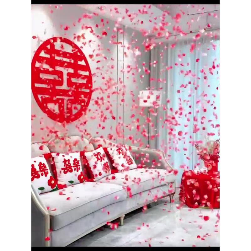 JINGRUIXIANG Handheld Party Confetti Poppers