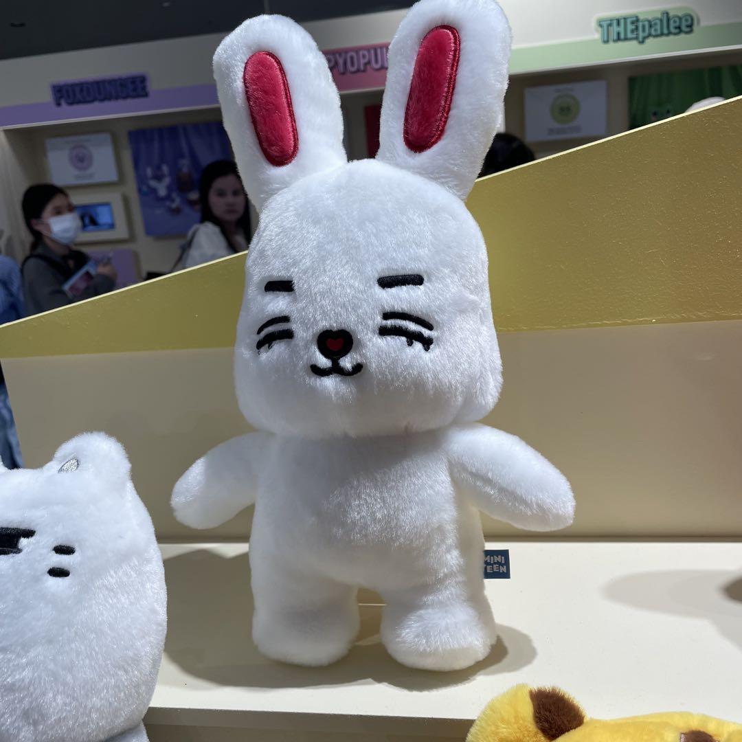 

[USED] S.X.P. MINITEEN Pop-up Plush Toy Seventeen