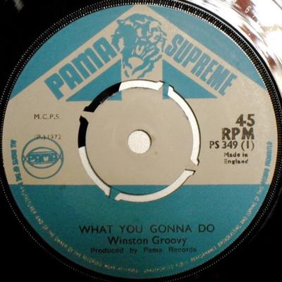 7inch Record WINSTON GROOVY - What You Gonna Do / Why Did You Lea PS349 Pama Supreme 1972 UK Reggae, Ska & Dub Used