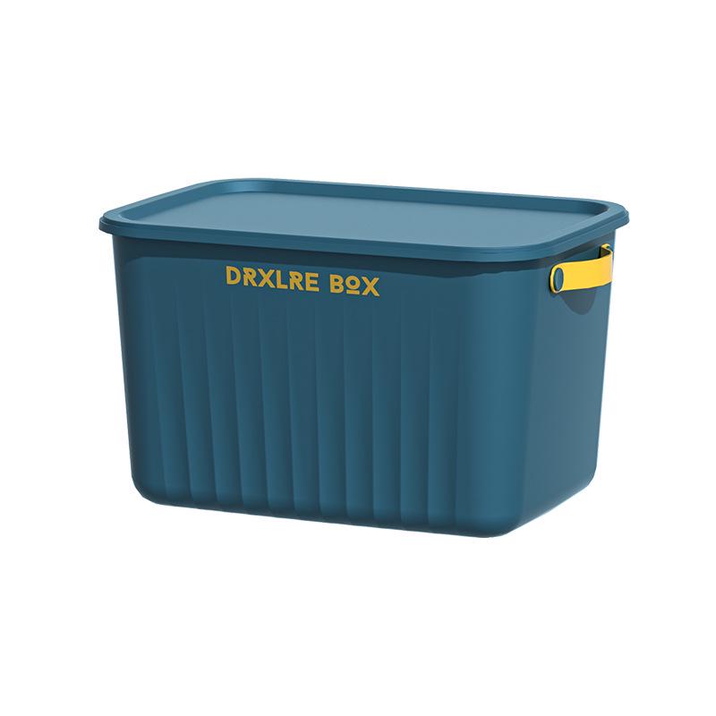 Large Capacity Snack & Toy Storage Box with Lid for Dorms, Homes, and Living Rooms