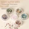 Nail Art Lively Rabbit Starburst Glitter Sequins Mix - Hexagonal & Fairy Decorations