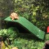 Reptile Lawn Climbing Turtle Basking Platform Ladder Simulation Grass Ramp Aquatic Turtle Water Tank Habitat Decor Accessories