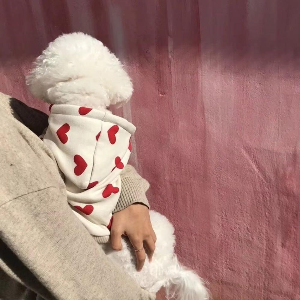 Thin Velvet Hooded Sweatshirt Love Pattern Dog Clothes Soft Pet Sweatshirt  Home Wear