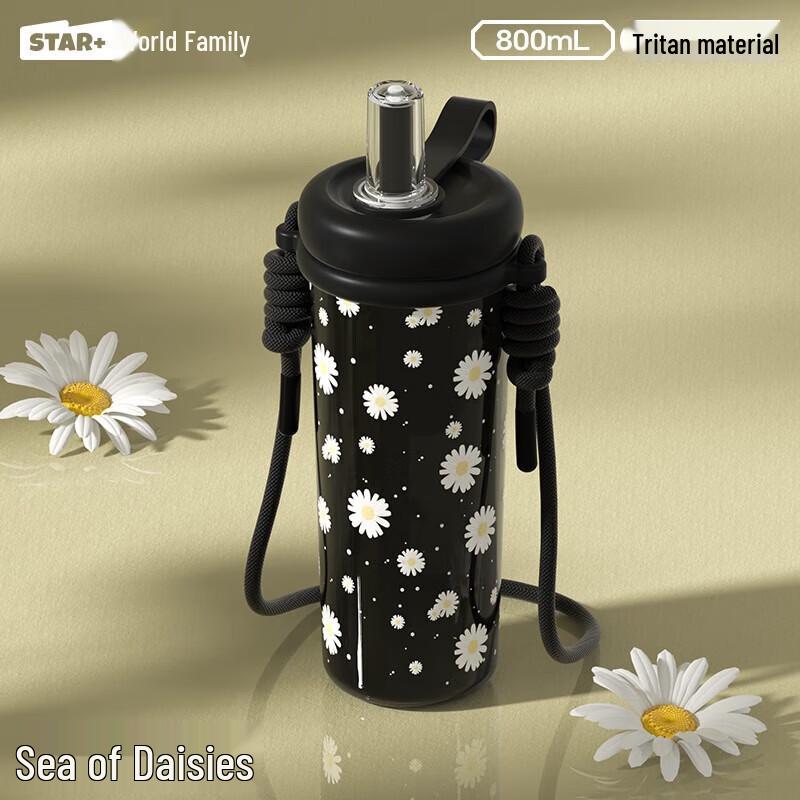 Heat-Resistant Glass Straw Water Bottle