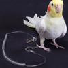 Ultra-light Bird Leash Anti-bite Parrot Harness Bird  Straps Parrot Training Rope  Outdoor