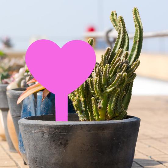 20Pcs Garden Plant Labels Creative Shape Vibrant Color Reusable Waterproof Plant Markers Indoor Outdoor Garden Signs