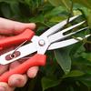 1 Pcs Stainless steel fruit picking scissor With labor-saving Handle Pruning thinning of fruit trees in landscaping horticulture