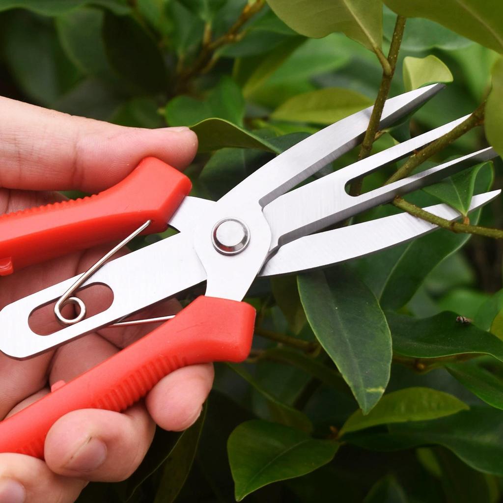 1 Pcs Stainless steel fruit picking scissor With labor-saving Handle Pruning thinning of fruit trees in landscaping horticulture