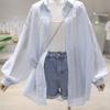 WTEMPO Women Sheer Sun Protection Shirt Lapel Puff Long Sleeve Embroidery Oversized Loose Summer Casual Outerwear Blouse