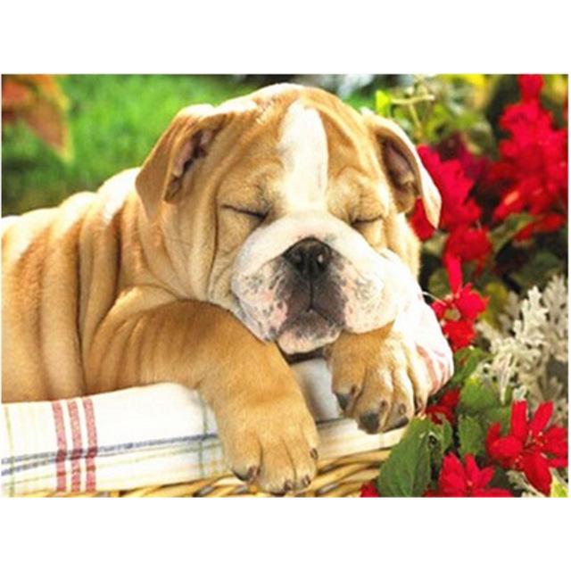 Pictură cu diamant 5D DIY câine drăguț animal de companie cu punct de cruce broderie cu diamante mozaic animal foraj complet rotund