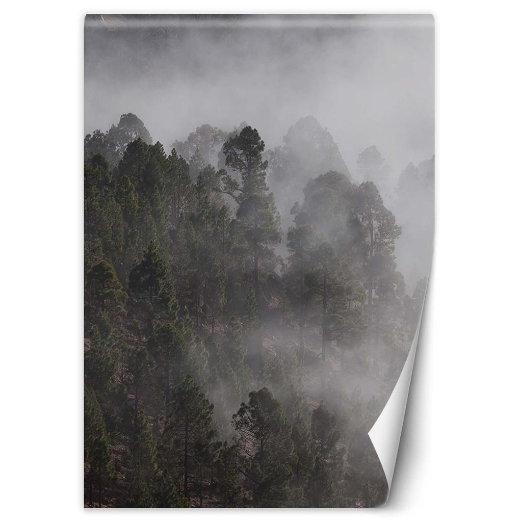 Wallpaper Green Forest In the Fog