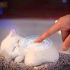 Kawaii Simulation Sleeping Cat Stuffed Animals Display Mold Portable Fake Cat Kittens Doll Ornaments Decoration Kids Plush Toys