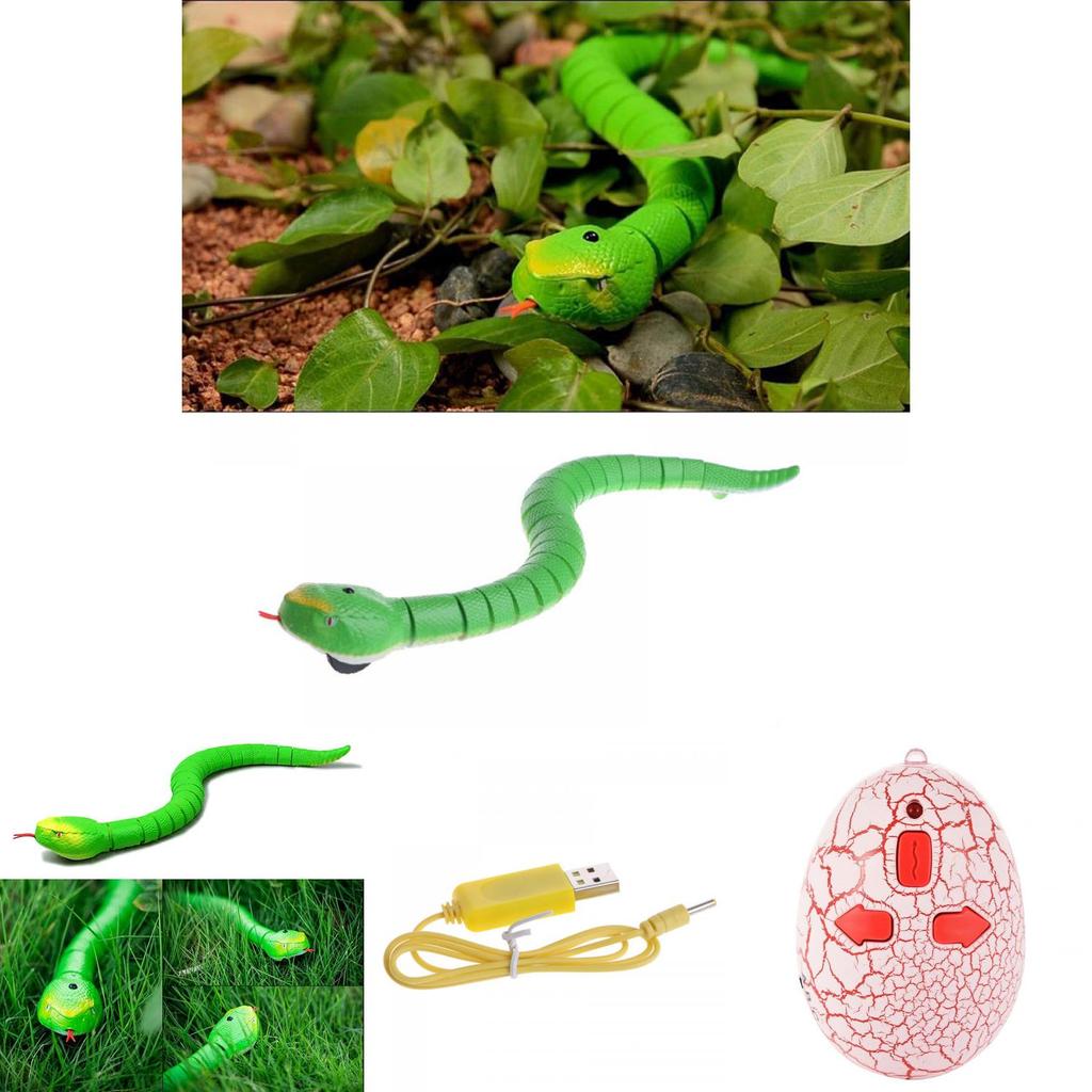Terrifying Remote Control Snake Rattlesnake Mischief Toy With Premium Quality Green Finish