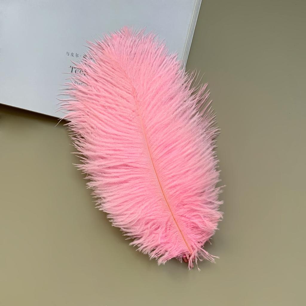Source Thin Rod Ostrich Hair 20-25Cm High Quality Feather Diy Stage Clothing Accessories Flower Arrangement Material