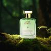 Just Herbs Energising Forest Wood Eau Da Parfum for Men and Women 50 ml | Long Lasting Body Spray Unisex Perfume