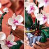 Phalaenopsis Baustein-Set für Kinder - Lustige Simulation einer blühenden Topfpflanze, Ideal zur Dekoration von Zimmern & Geschenke für Mädchen
